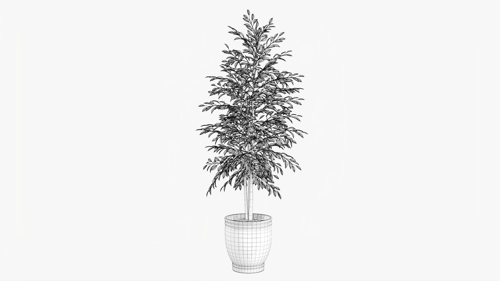 Decorative potted tree 02v2 3D model_7