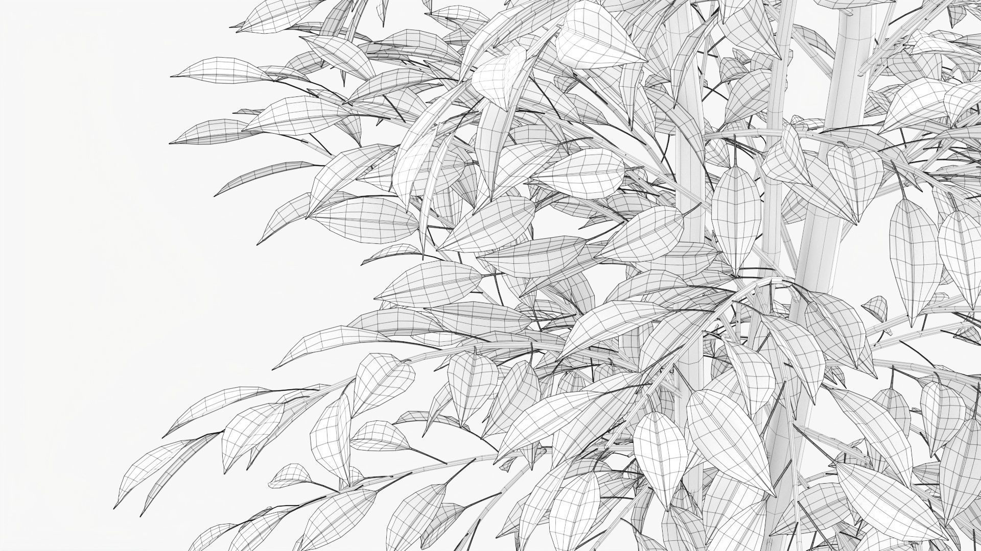 Decorative potted tree 02v2 3D model_8