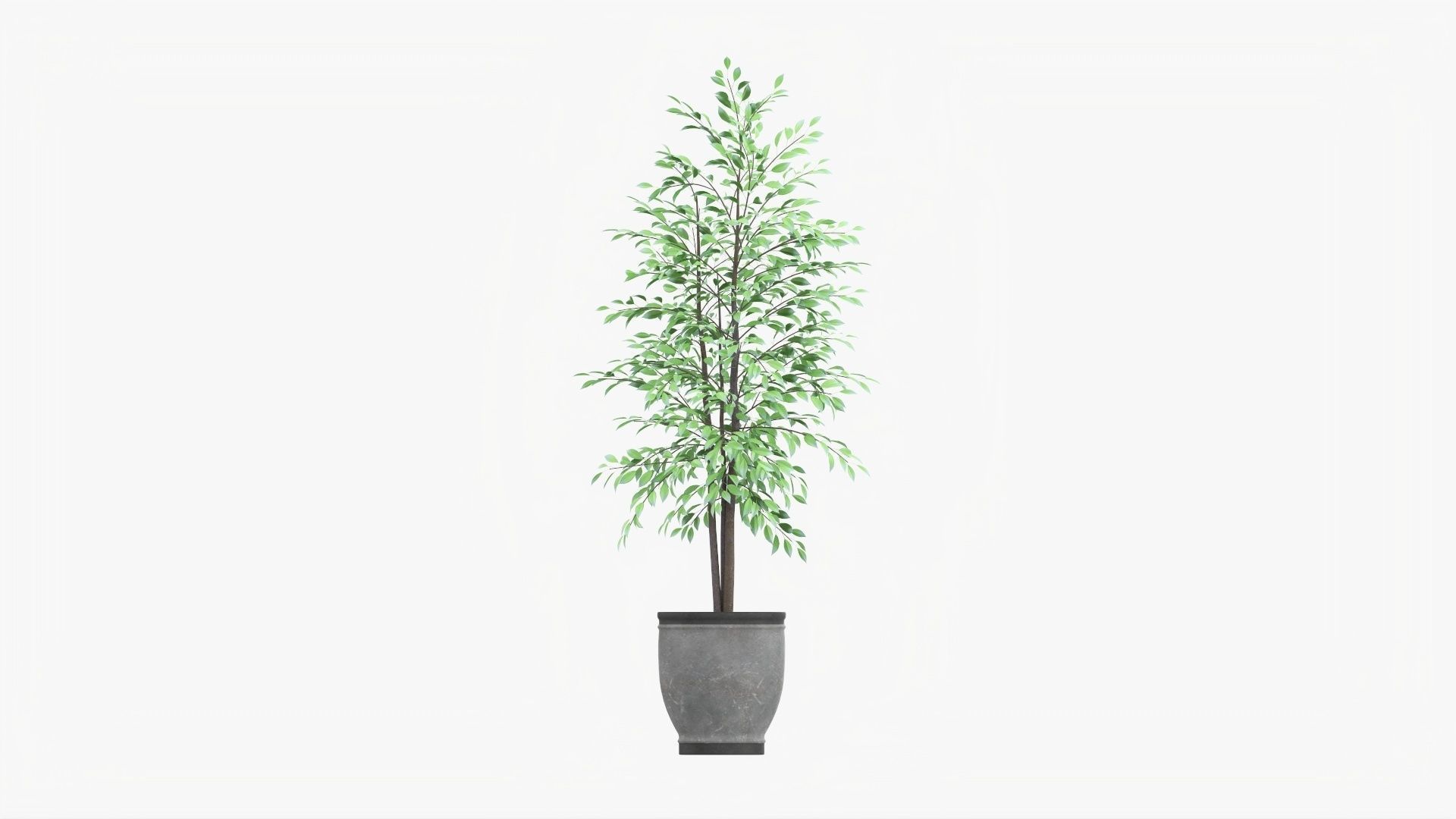 Decorative potted tree 02v2 3D model_4