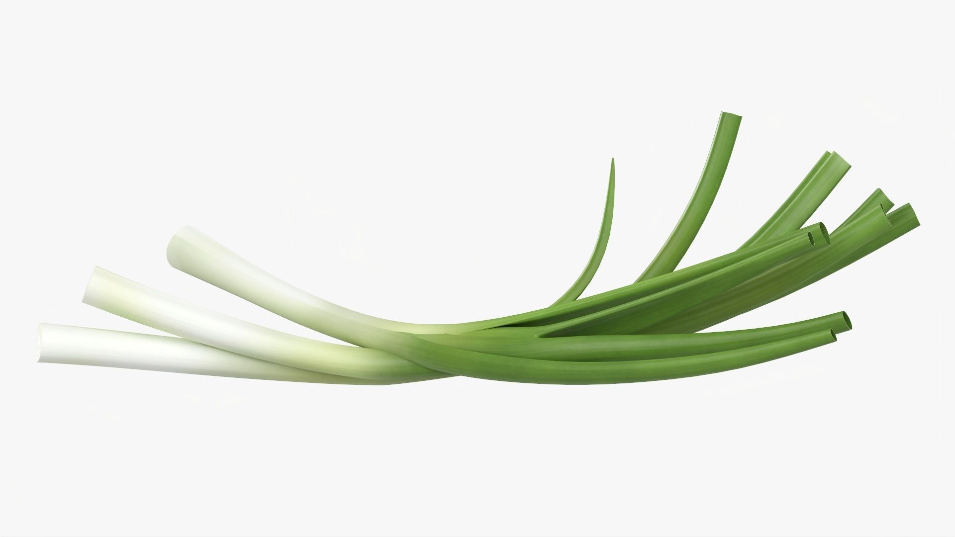 Spring onions 01 3D model_3