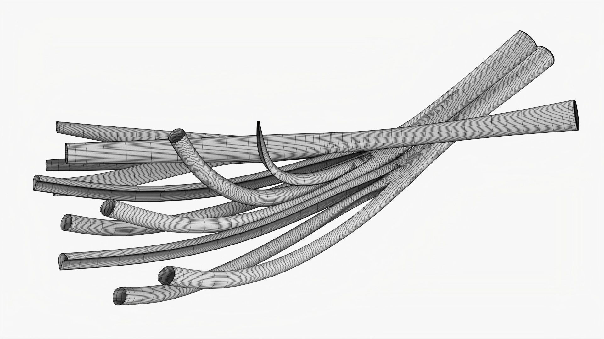 Spring onions 01 3D model_7