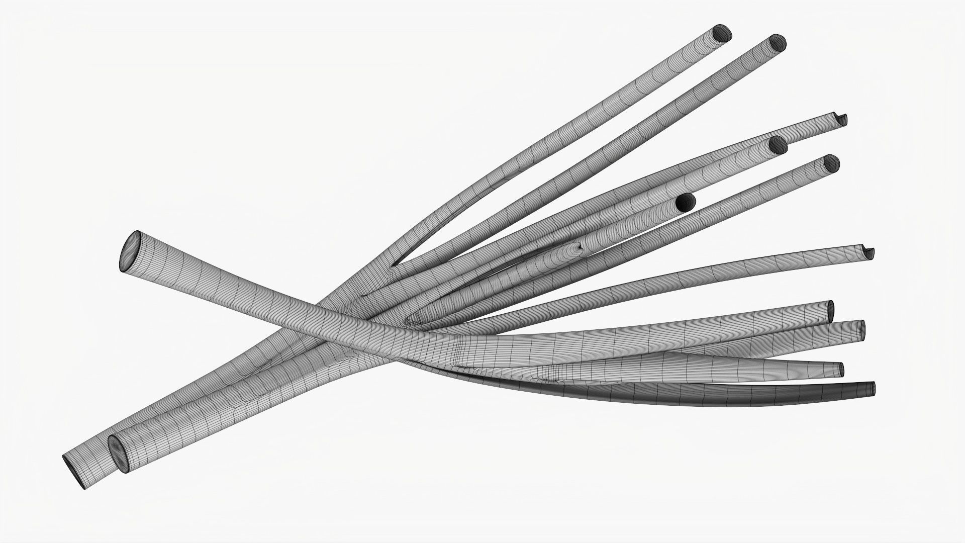 Spring onions 01 3D model_11