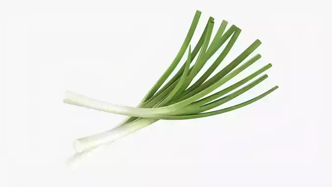 Spring onions 01