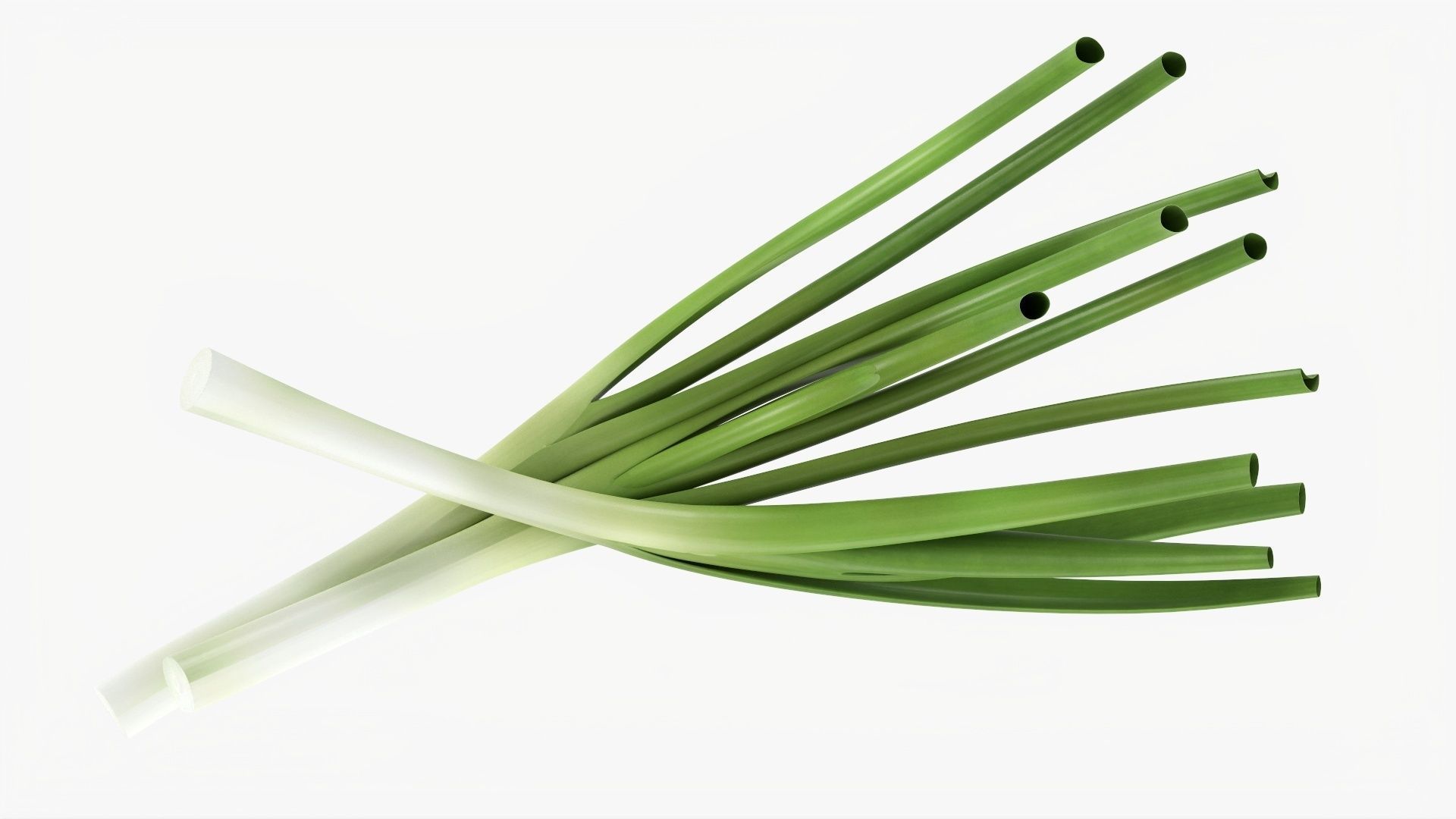 Spring onions 01 3D model_5
