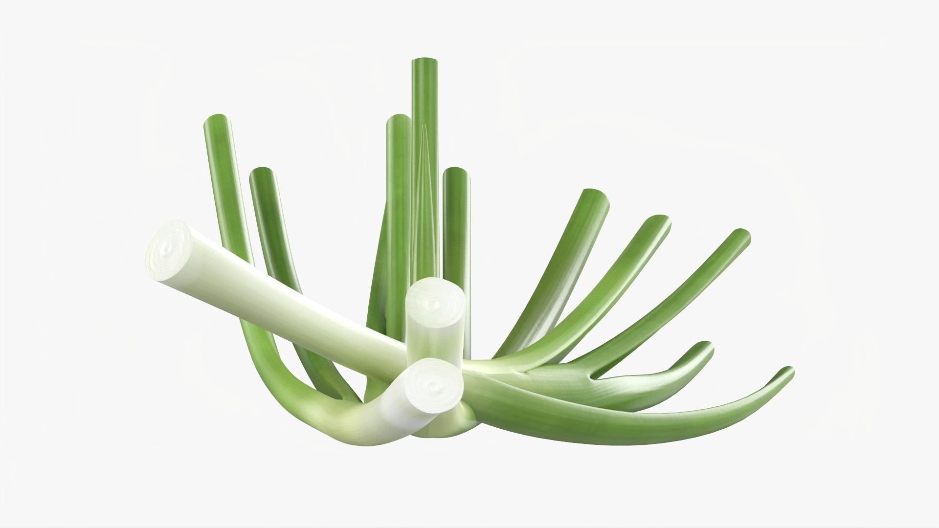 Spring onions 01 3D model_4