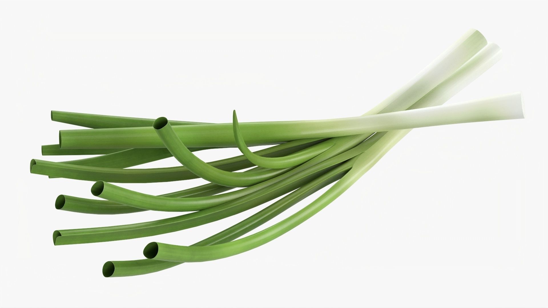 Spring onions 01 3D model_1