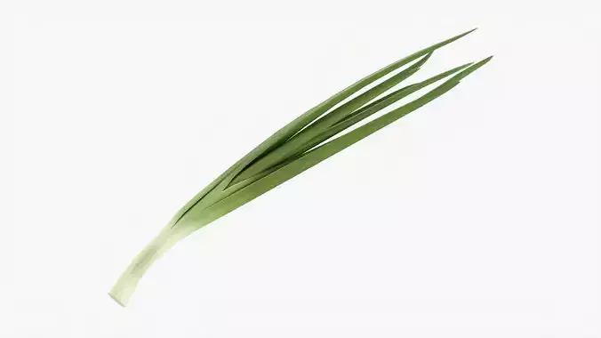 Spring onions 02