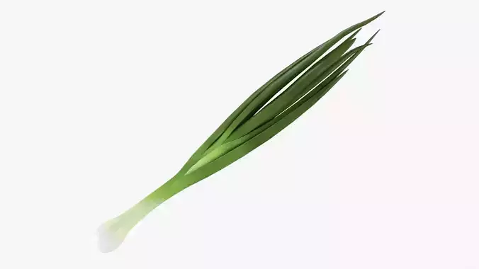 Spring onions 04 3D model