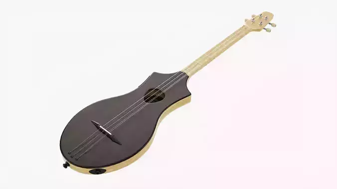 Acoustic instrument 4-string 02