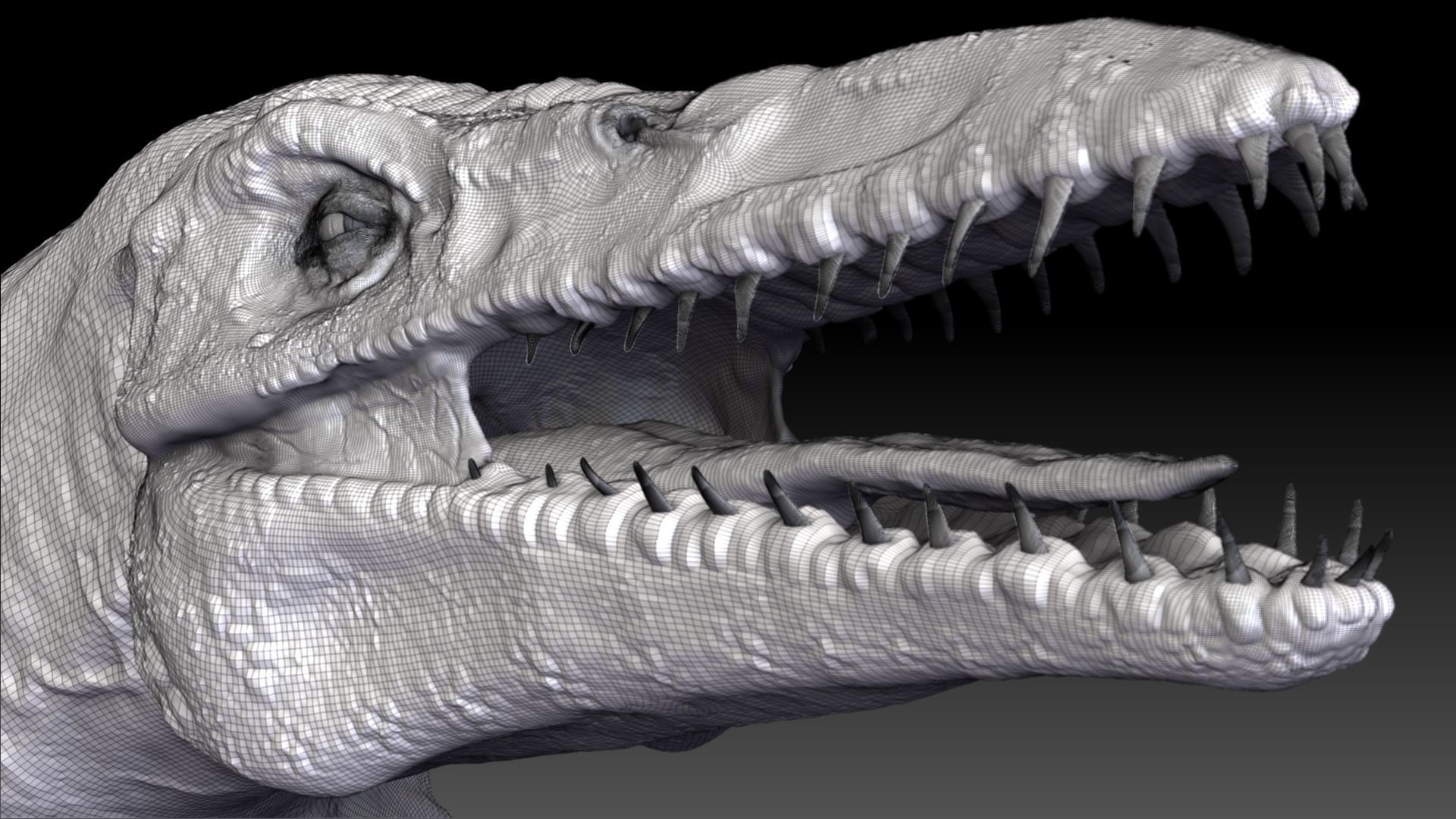 Tylosaurus Sculpt Project 3D model_22