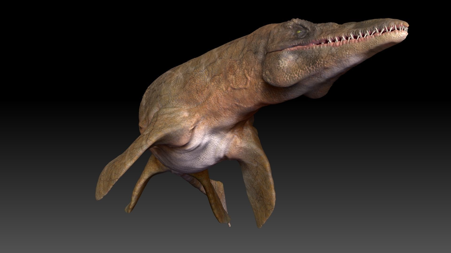 Tylosaurus Sculpt Project 3D model_4