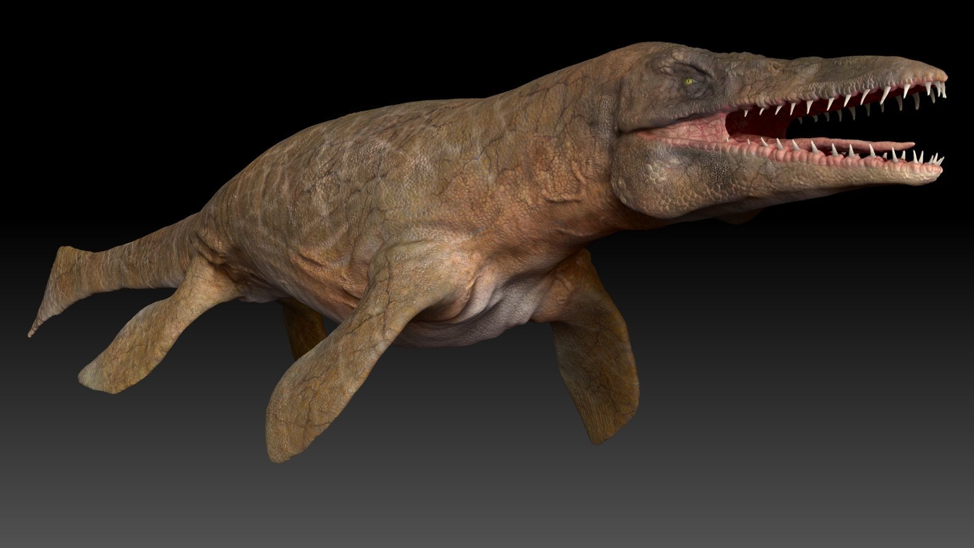 Tylosaurus Sculpt Project 3D model_13