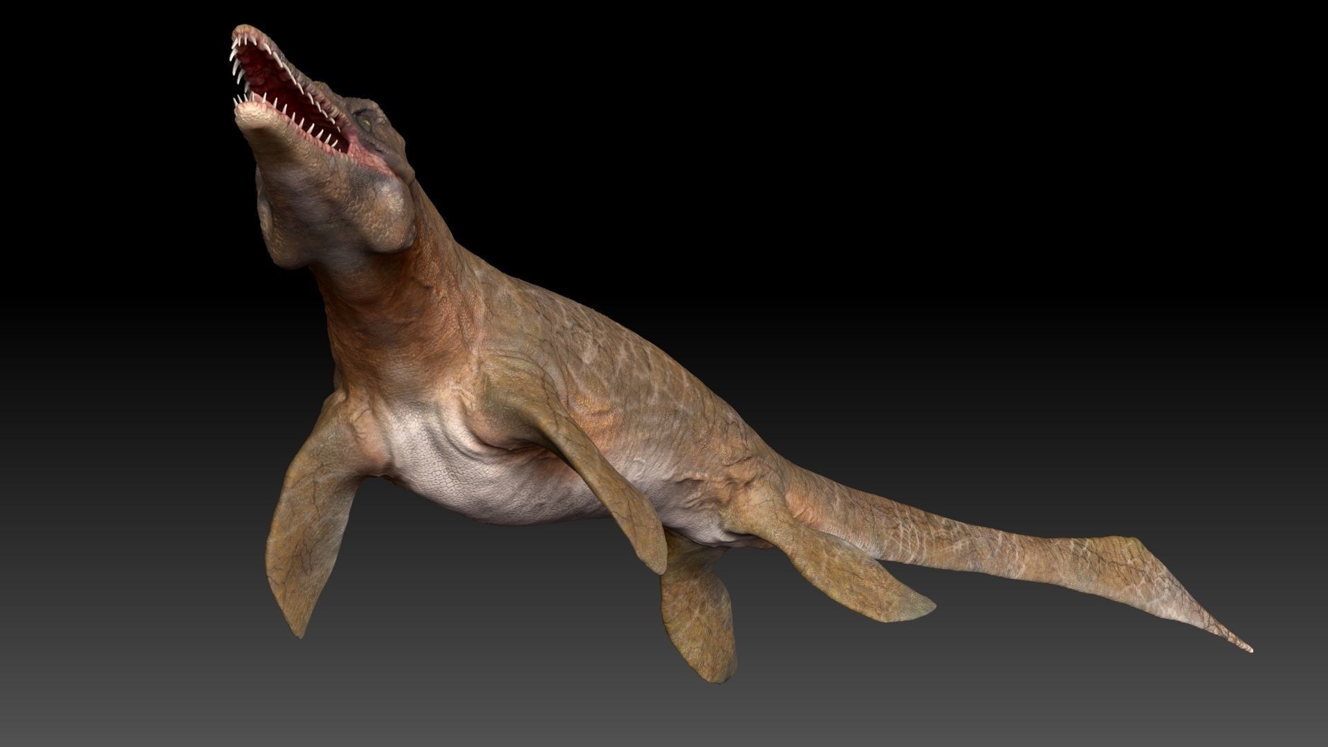 Tylosaurus Sculpt Project 3D model_8