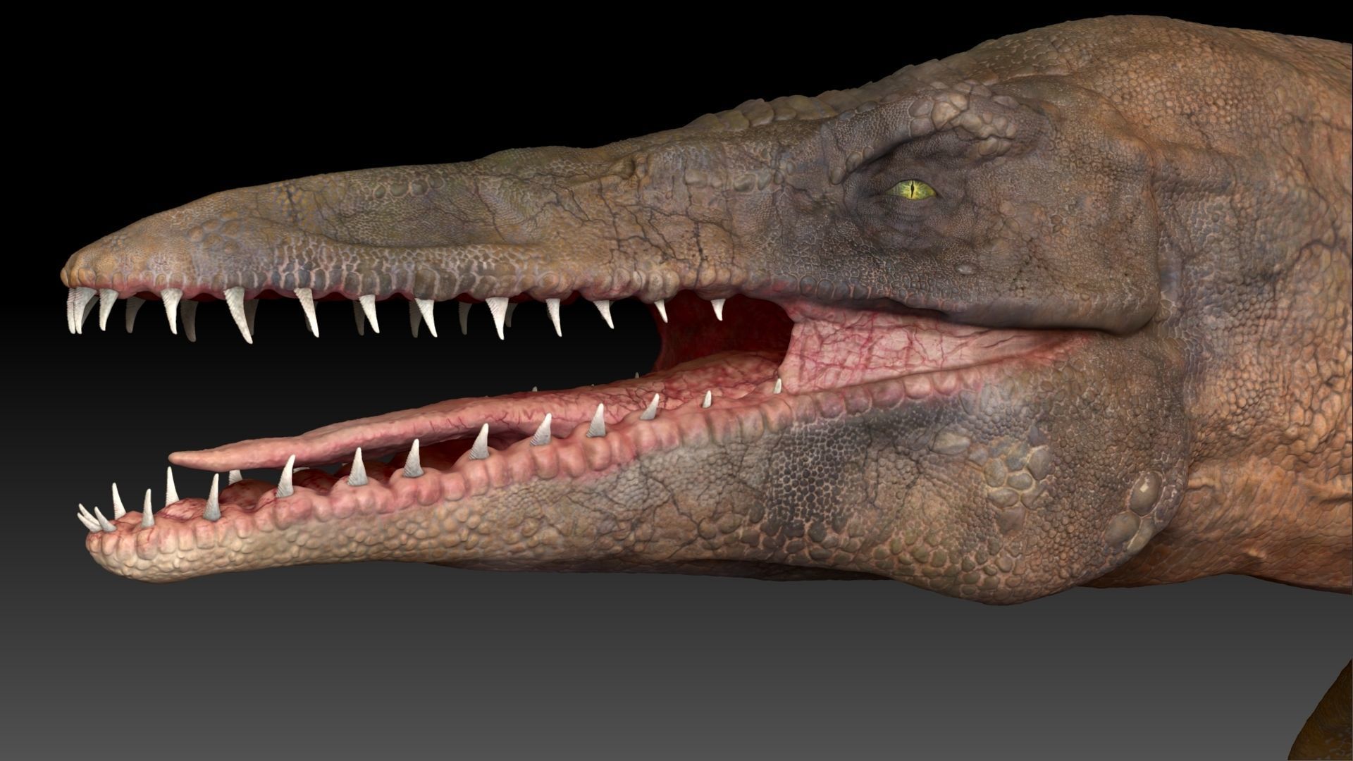 Tylosaurus Sculpt Project 3D model_9