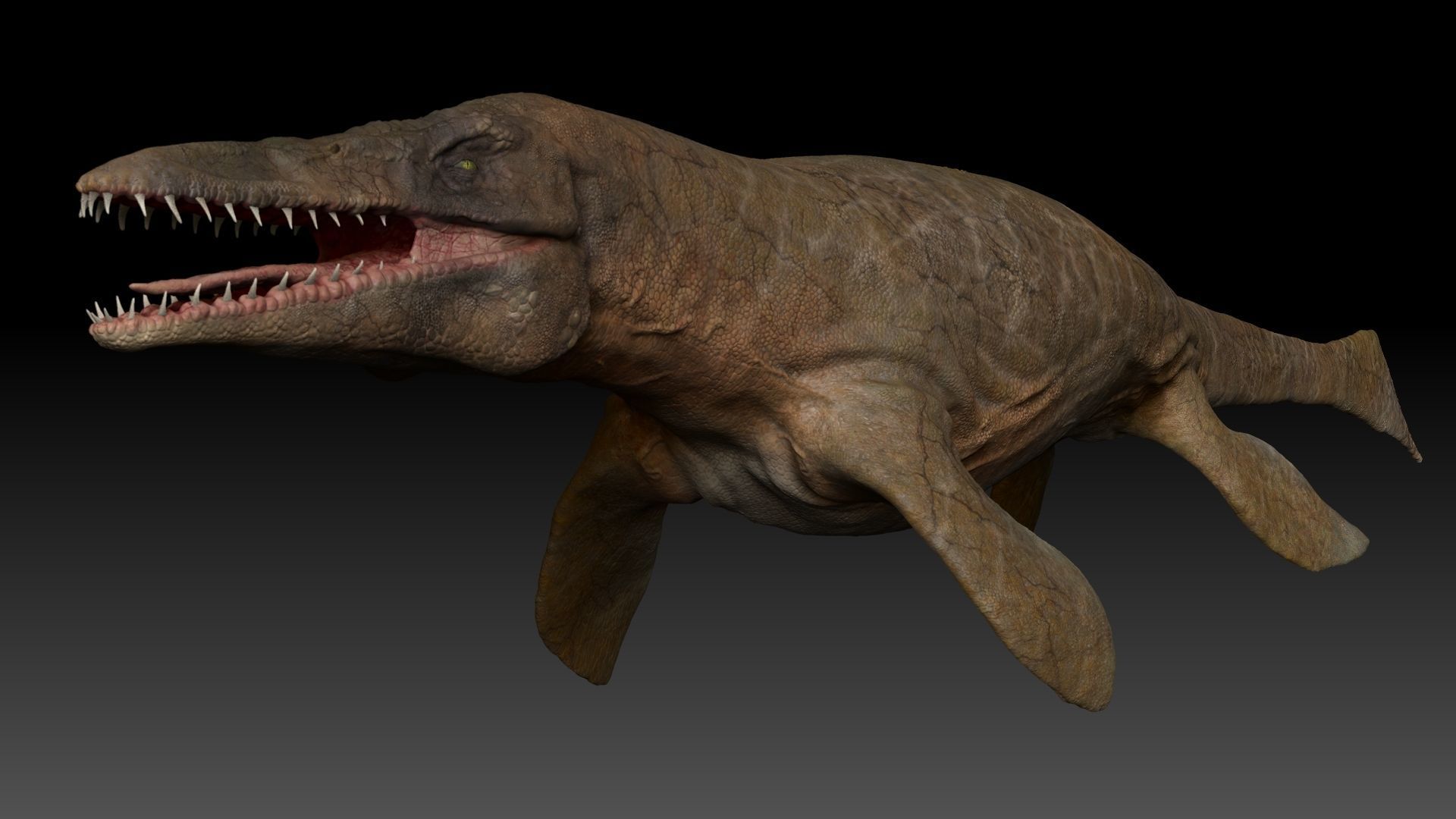 Tylosaurus Sculpt Project 3D model_16