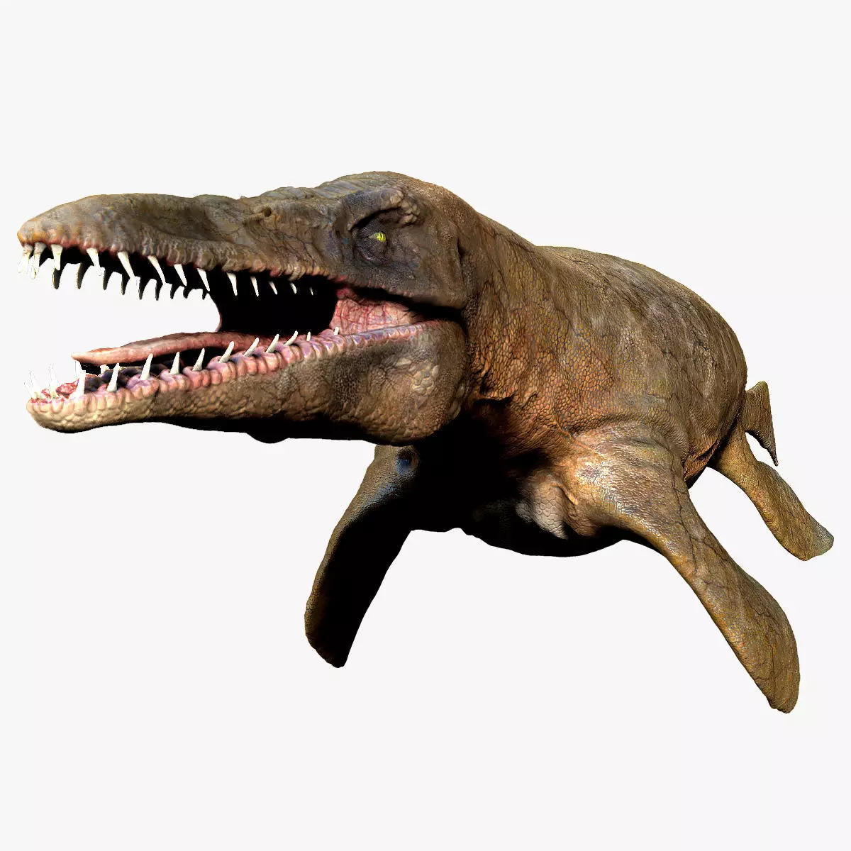 Tylosaurus Sculpt Project 3D model_0