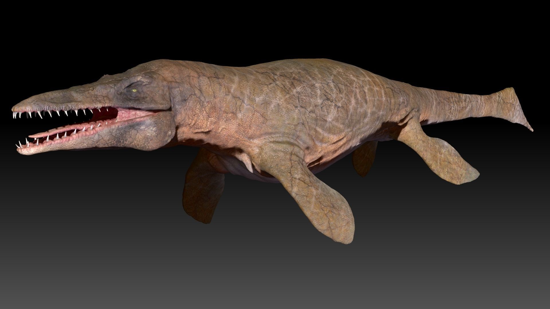 Tylosaurus Sculpt Project 3D model_1