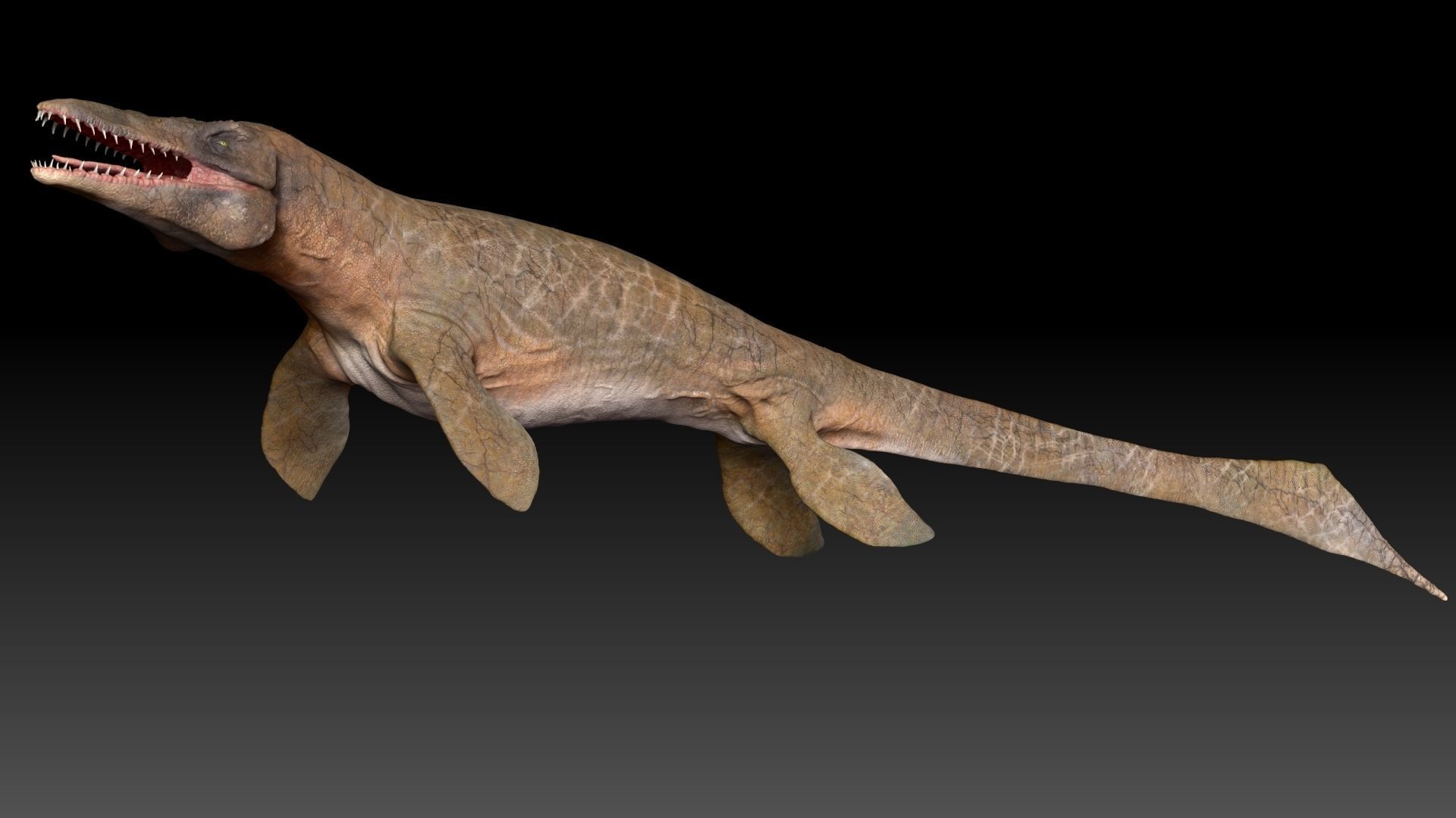Tylosaurus Sculpt Project 3D model_6
