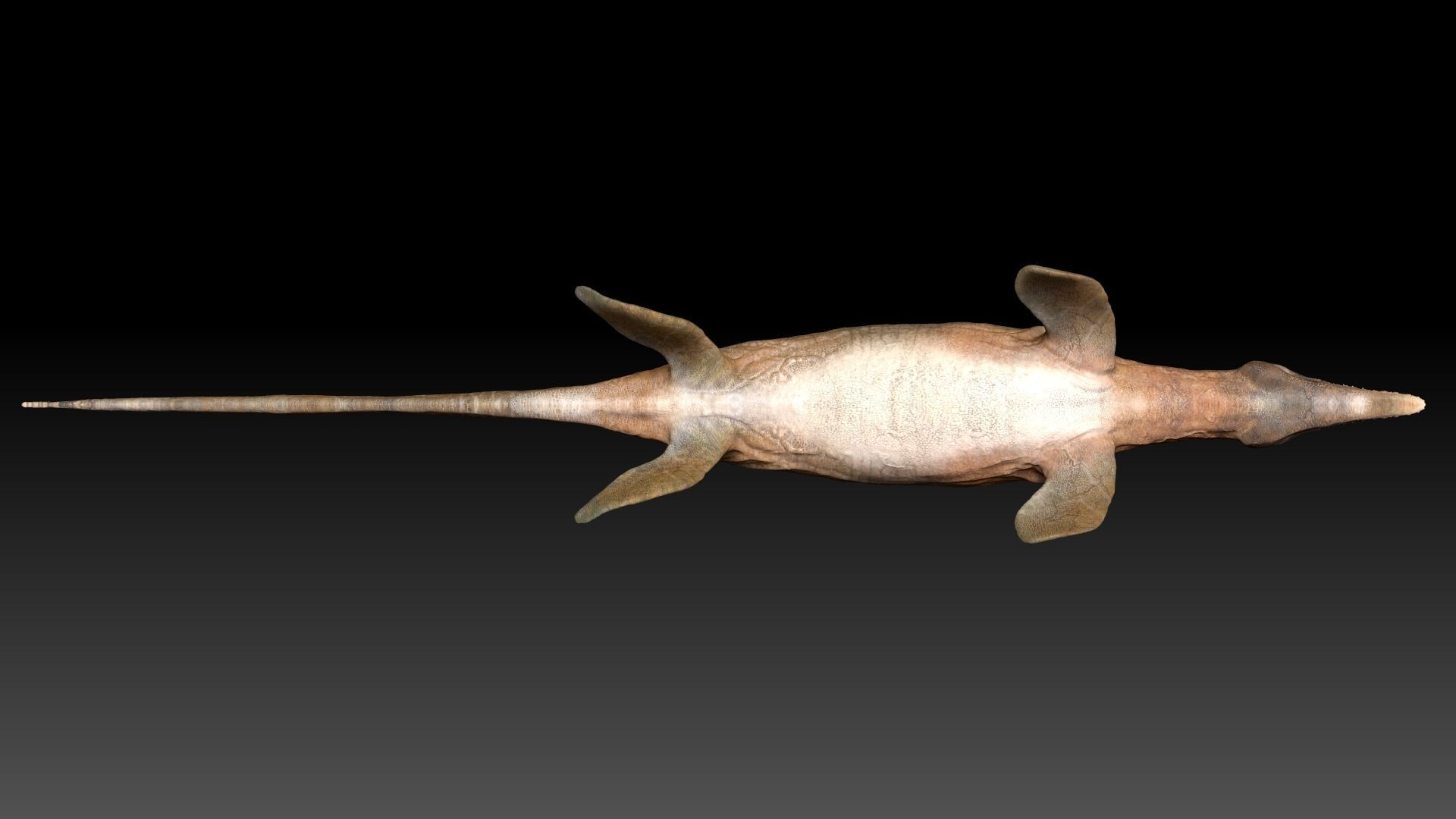 Tylosaurus Sculpt Project 3D model_12