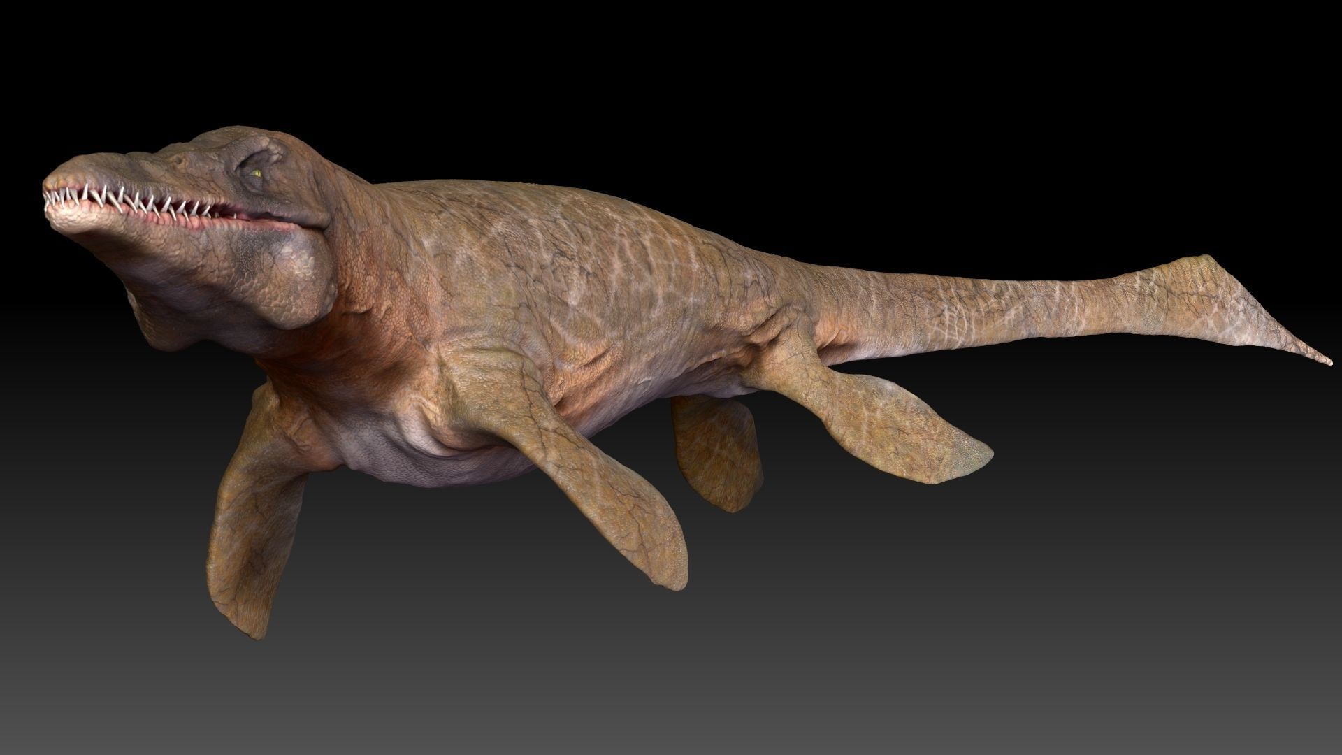 Tylosaurus Sculpt Project 3D model_3