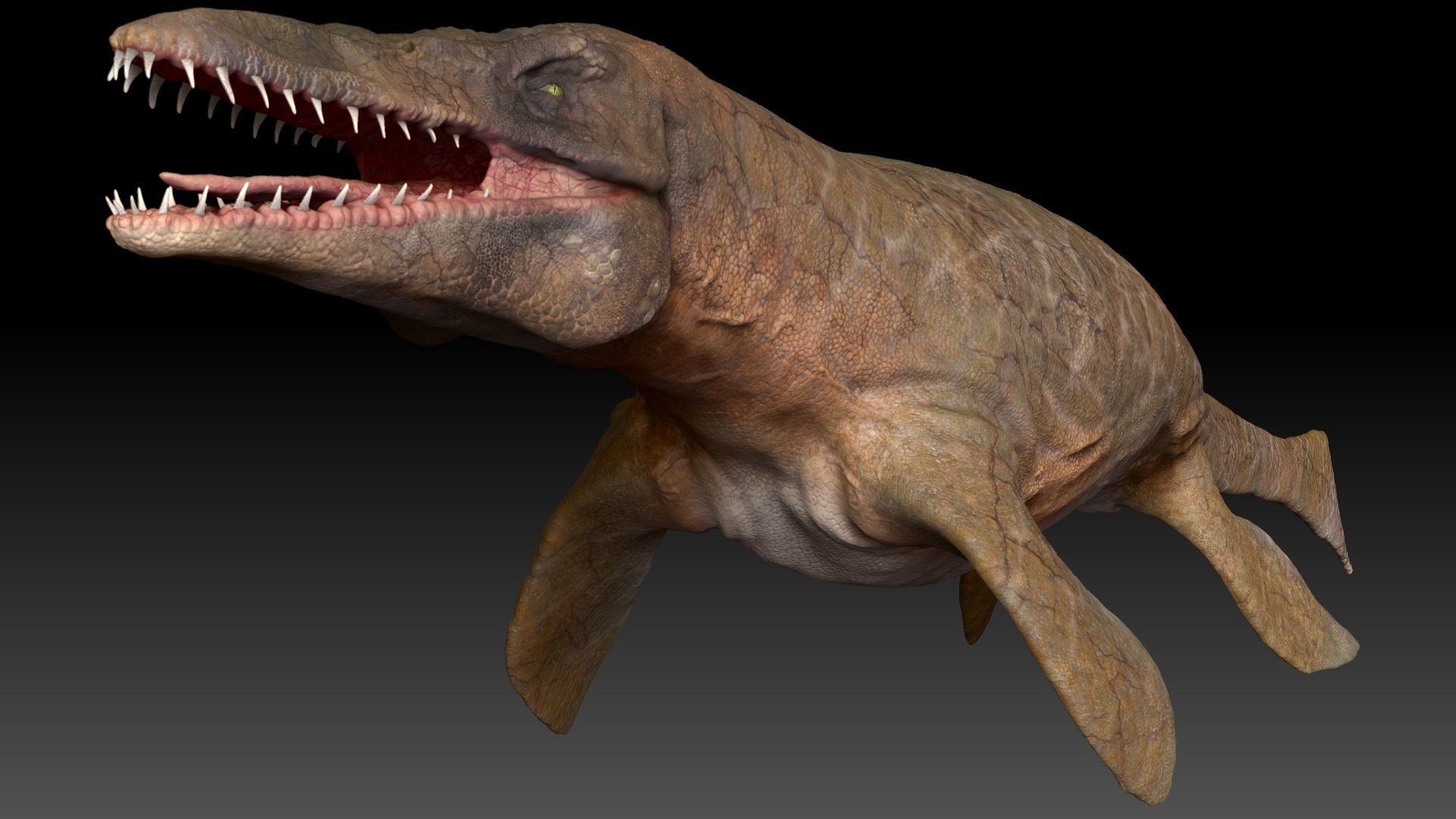Tylosaurus Sculpt Project 3D model_14