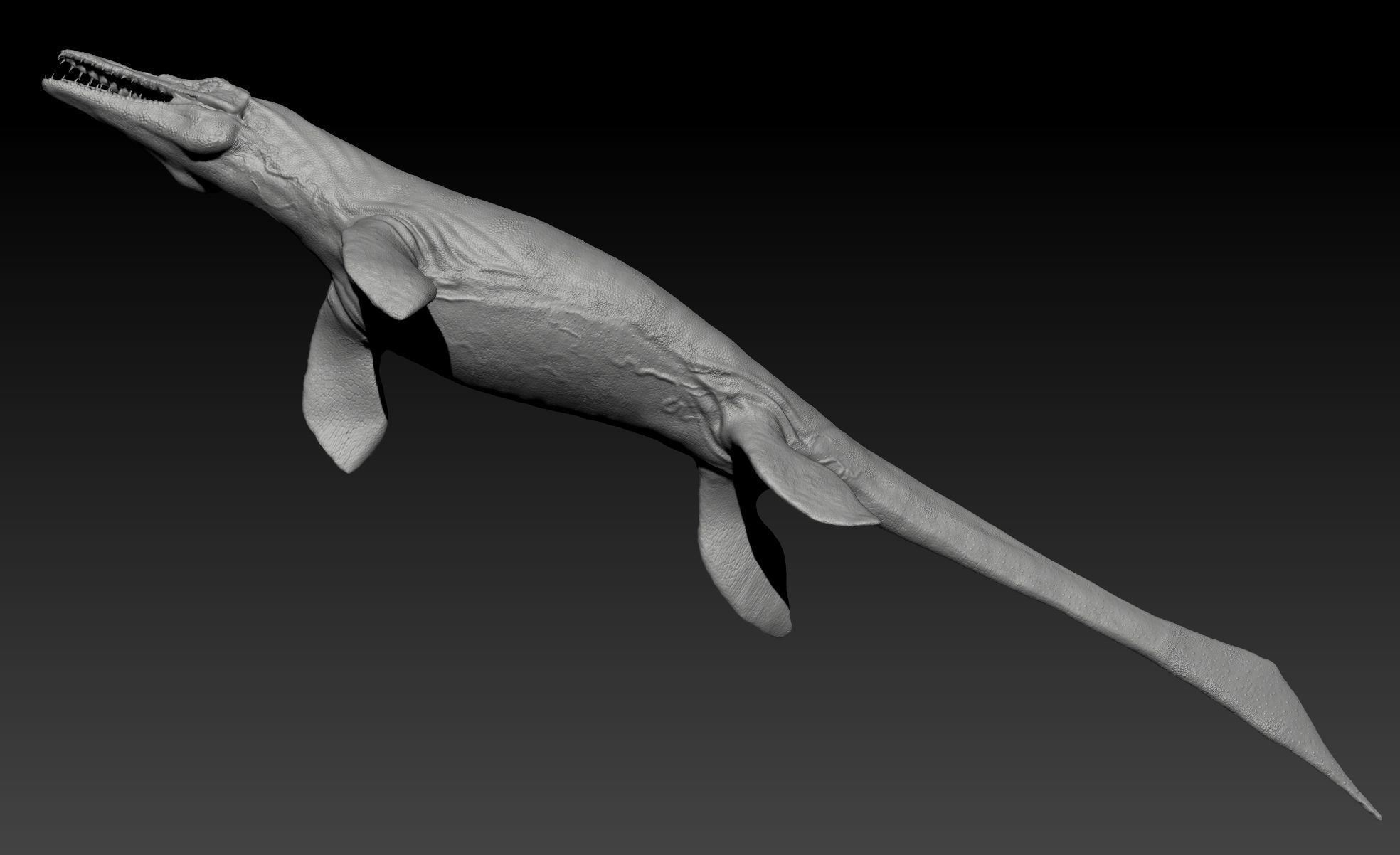 Tylosaurus Sculpt Project 3D model_19
