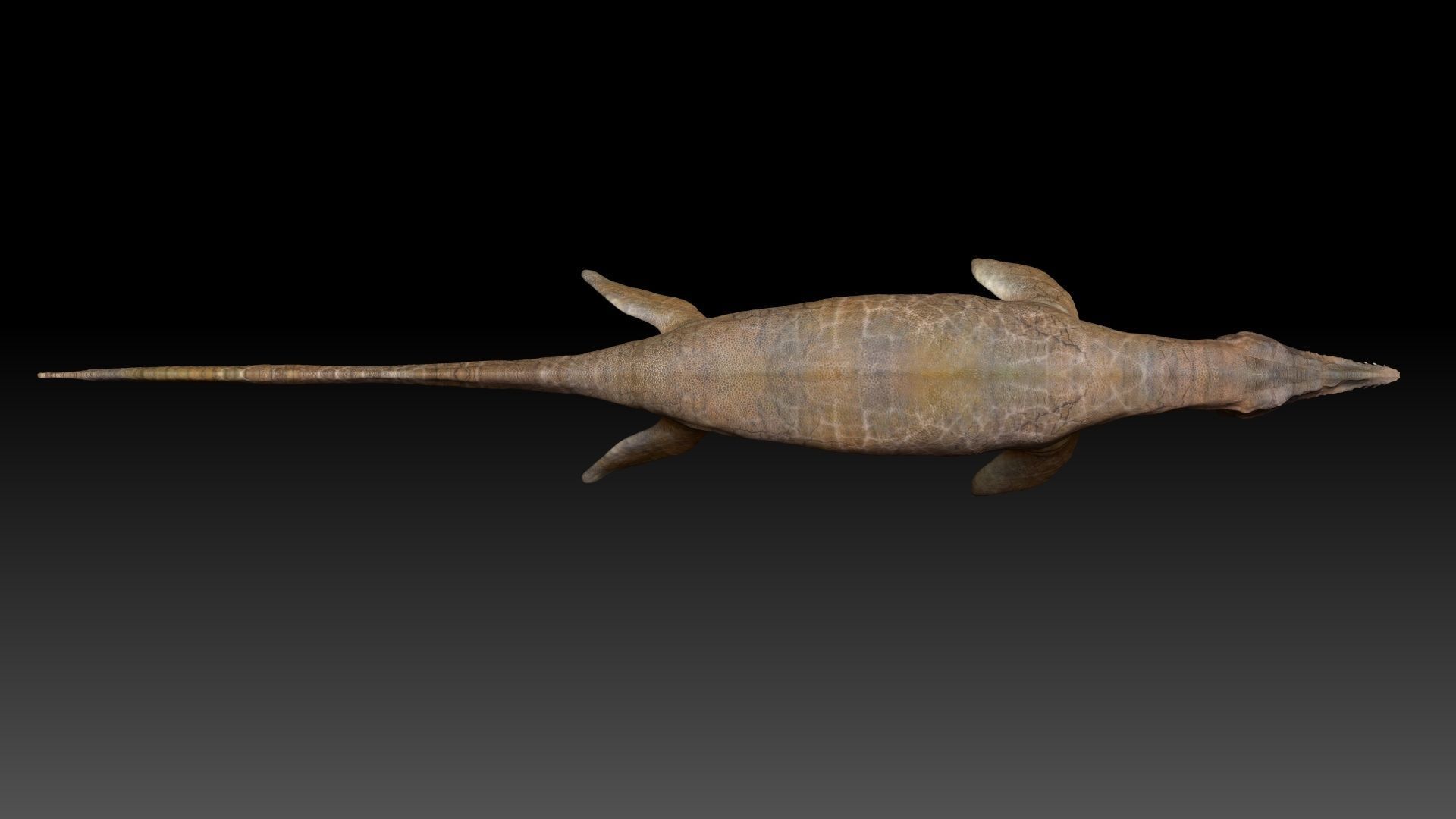 Tylosaurus Sculpt Project 3D model_10
