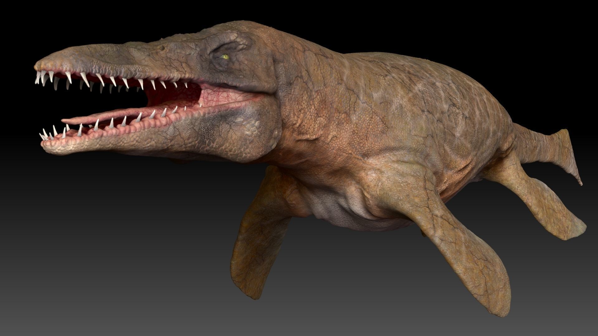 Tylosaurus Sculpt Project 3D model_15