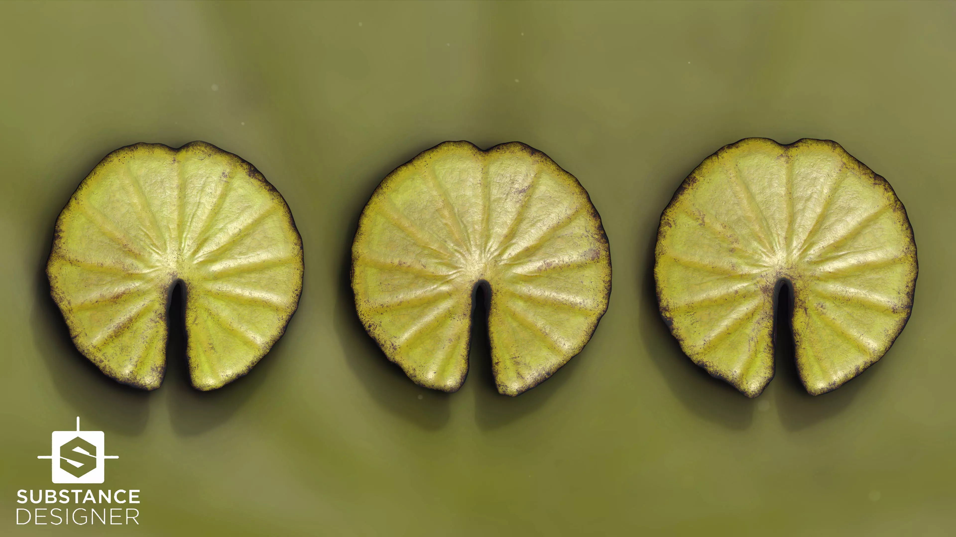 Water Lily PBR Texture