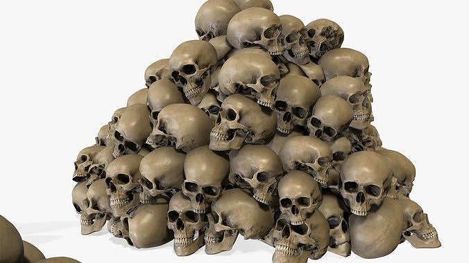 Human Realistic Skull Lowpoly Set Low-poly 3D model