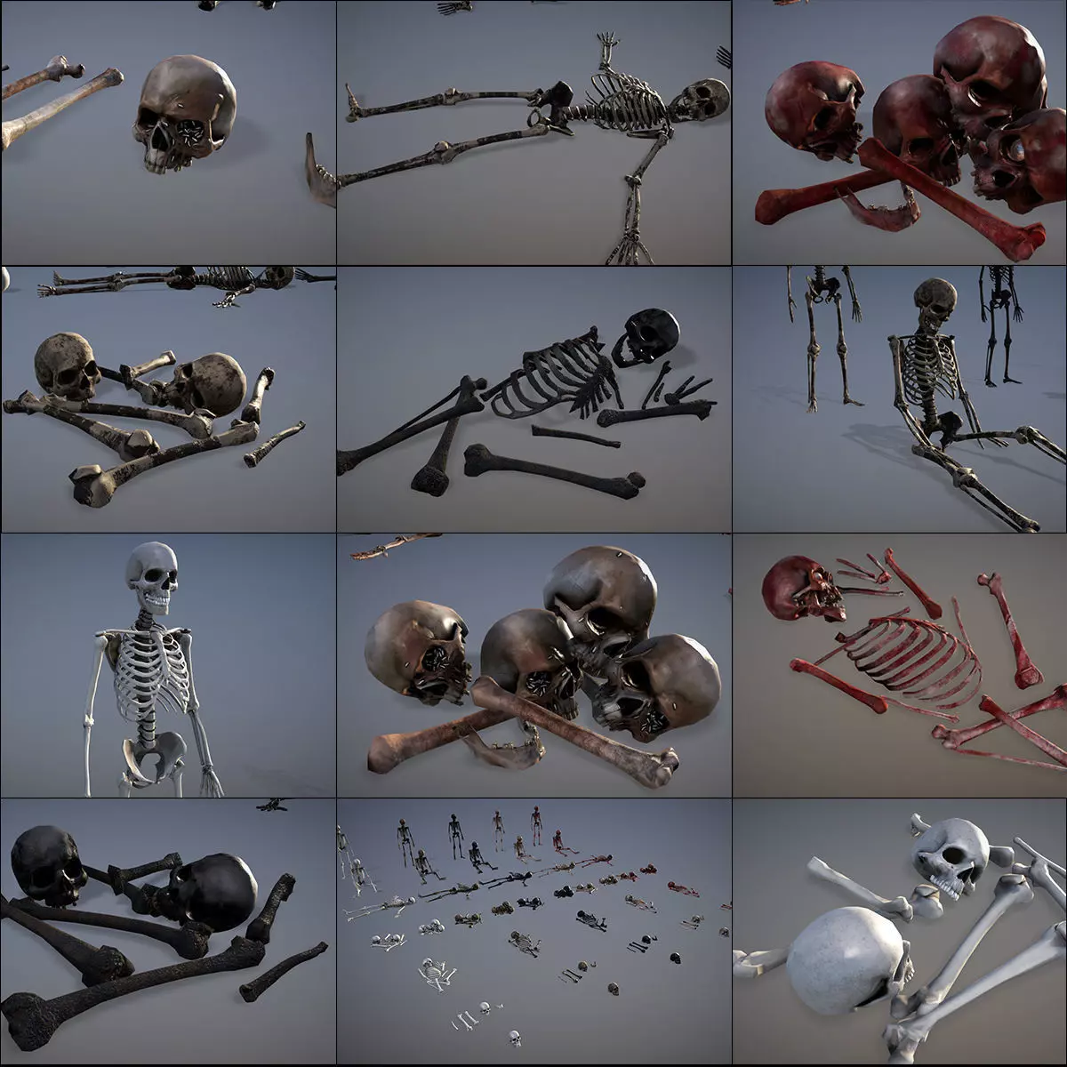 Human Bones Asset 3D model Low-poly 3D model