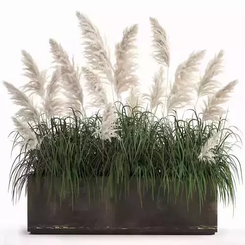 White Reeds in a rusty Flowerpot for the interior 1033