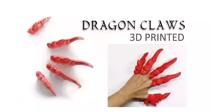 DRAGON CLAWS 3D print model