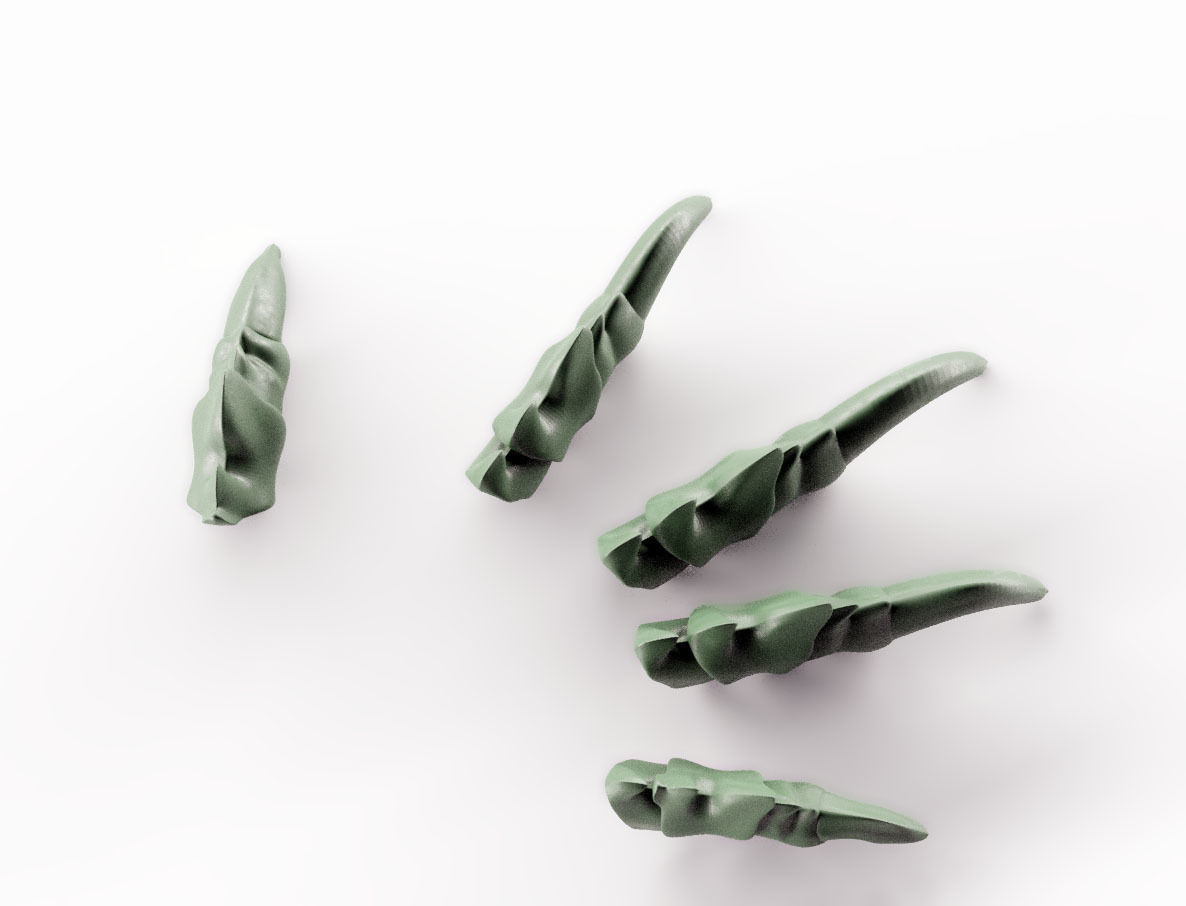 DRAGON CLAWS 3D print model_5