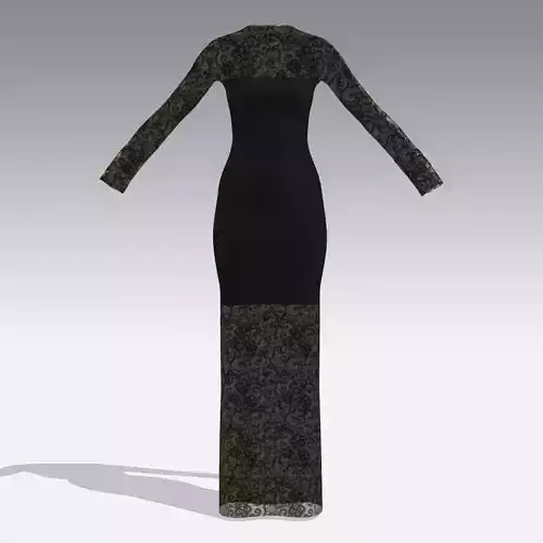 Dress black transparent long