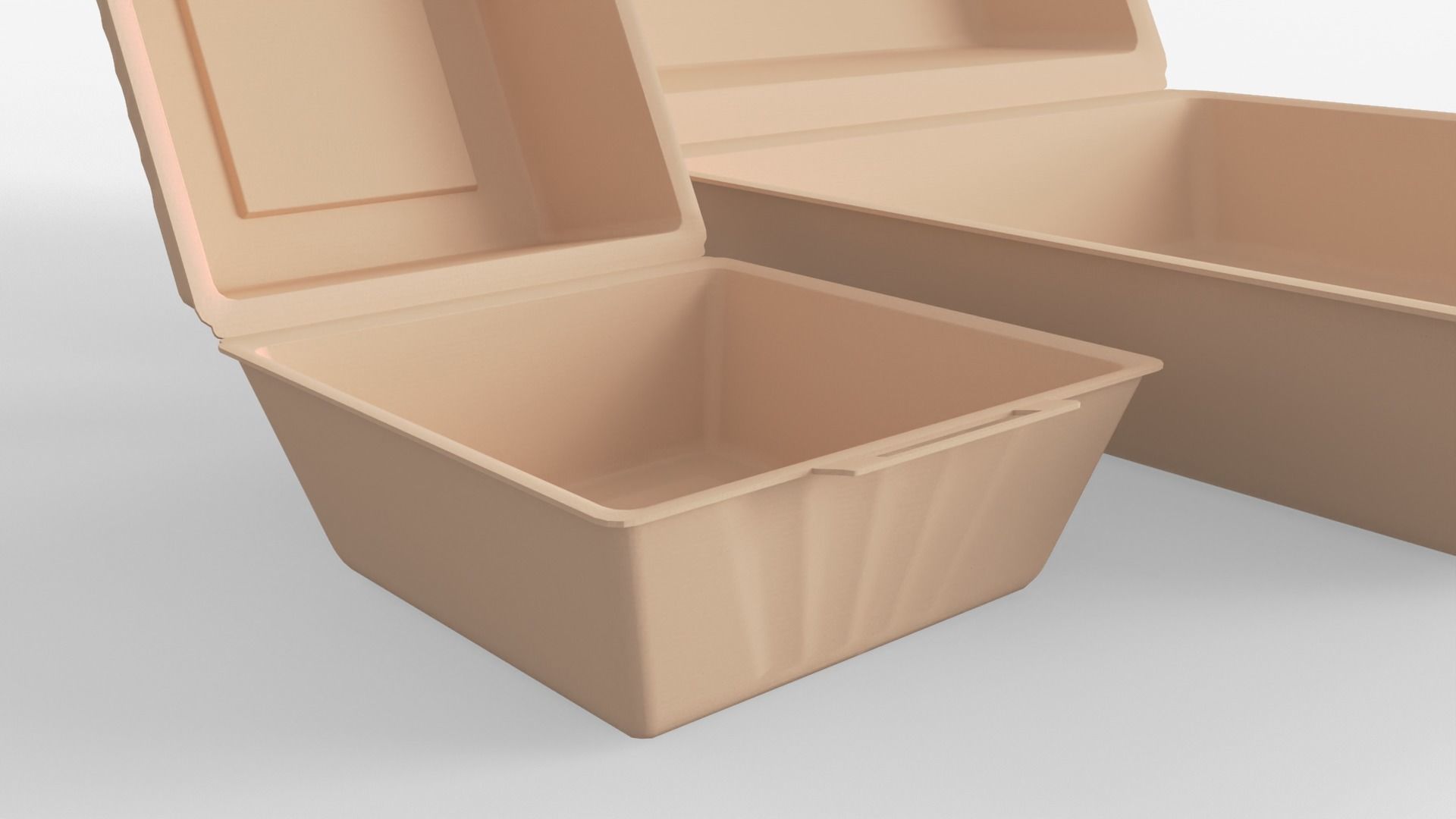 Biodegradable Food Containers 3D model_19