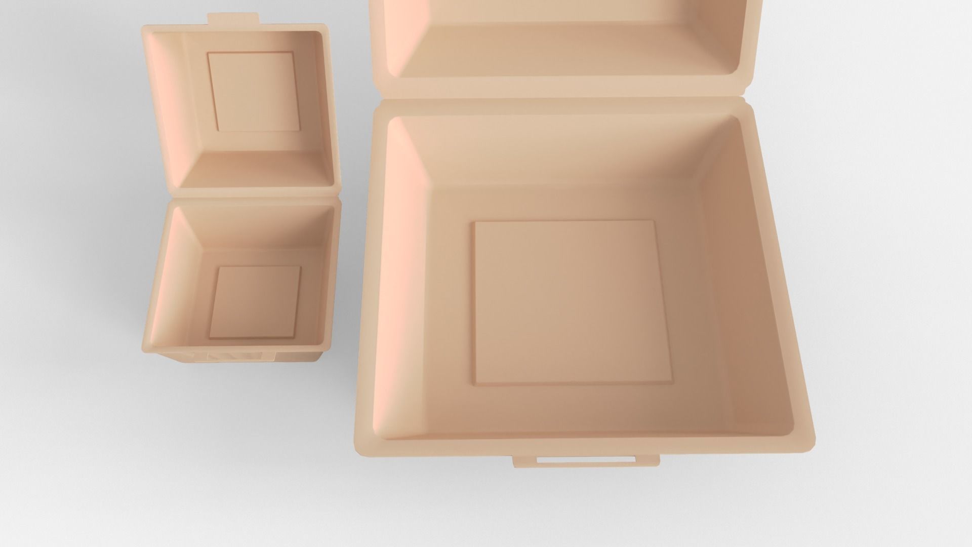 Biodegradable Food Containers 3D model_17