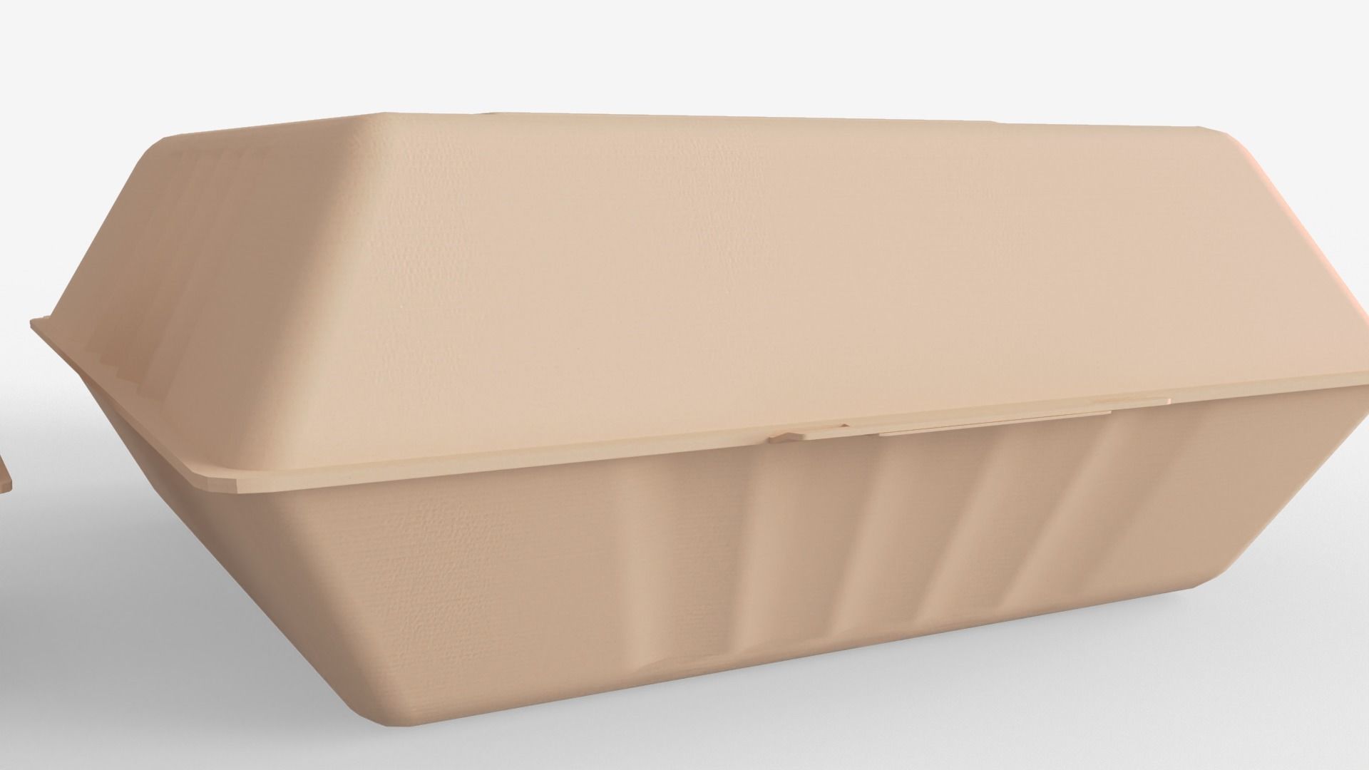 Biodegradable Food Containers 3D model_9