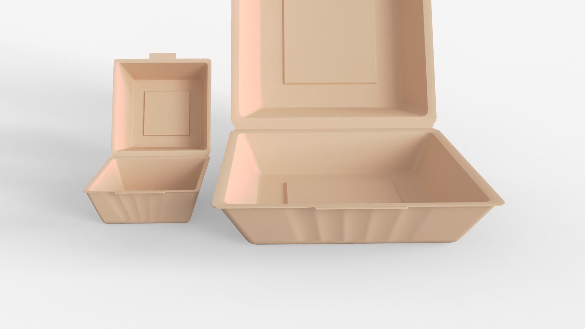 Biodegradable Food Containers 3D model_13