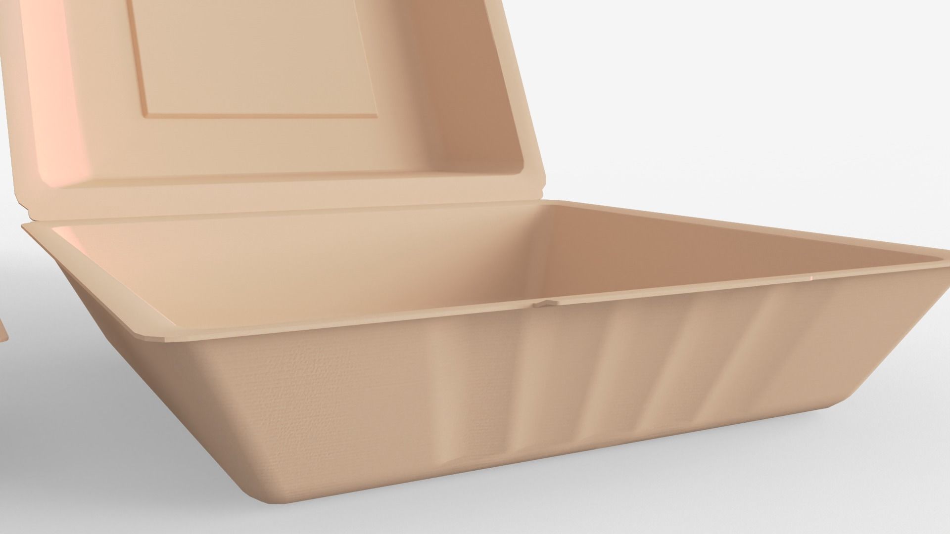 Biodegradable Food Containers 3D model_18