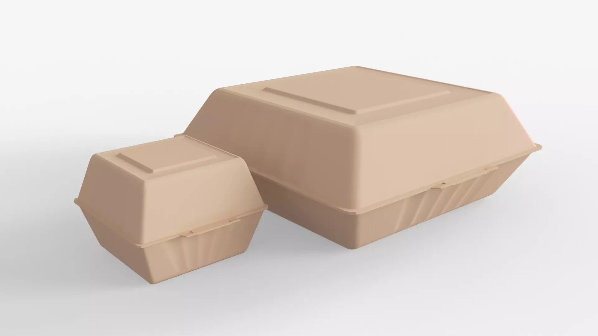 Biodegradable Food Containers 3D model_0