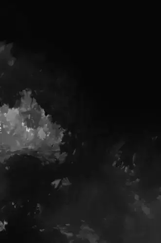 Guyana High resolution 14k displacement heightmap and geometry