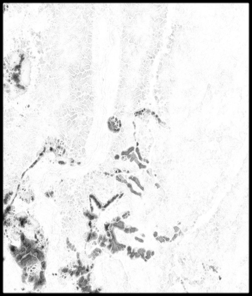 Guyana High resolution 14k cavity map Texture_3