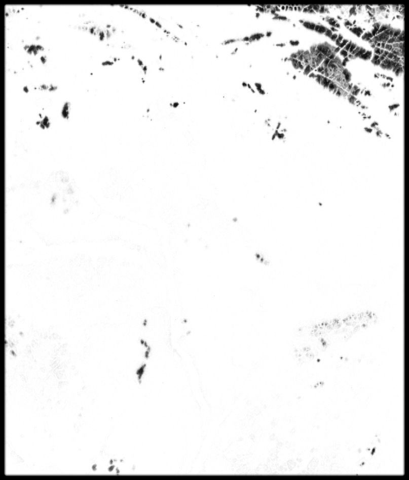 Guyana High resolution 14k cavity map Texture_1