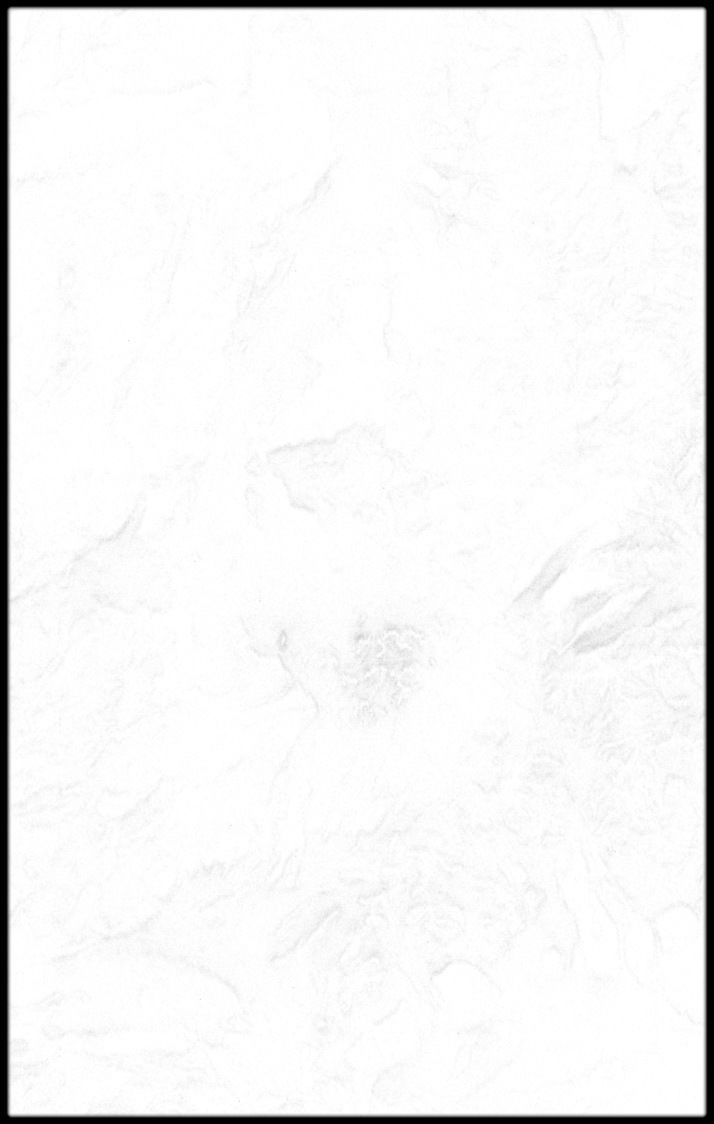Mongolia High resolution 39k occlusion map Texture_2