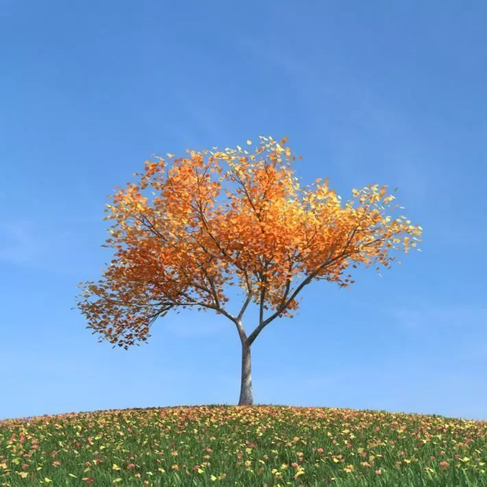 Fall Leaf Tree 3D model_0