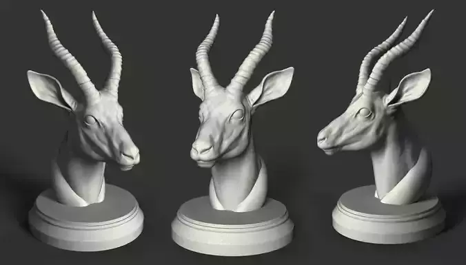 Gazelle Head 3D print model