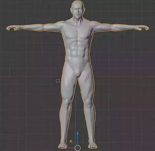 male base mesh