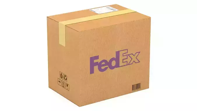 Fedex Cardboard Box
