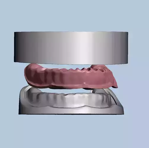 Dental model   Mold for making silicone gum  3D print model